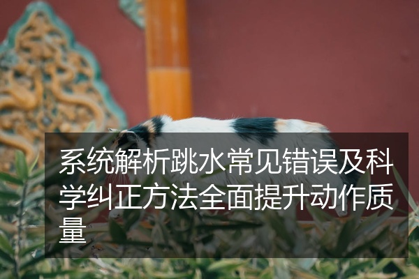 系统解析跳水常见错误及科学纠正方法全面提升动作质量